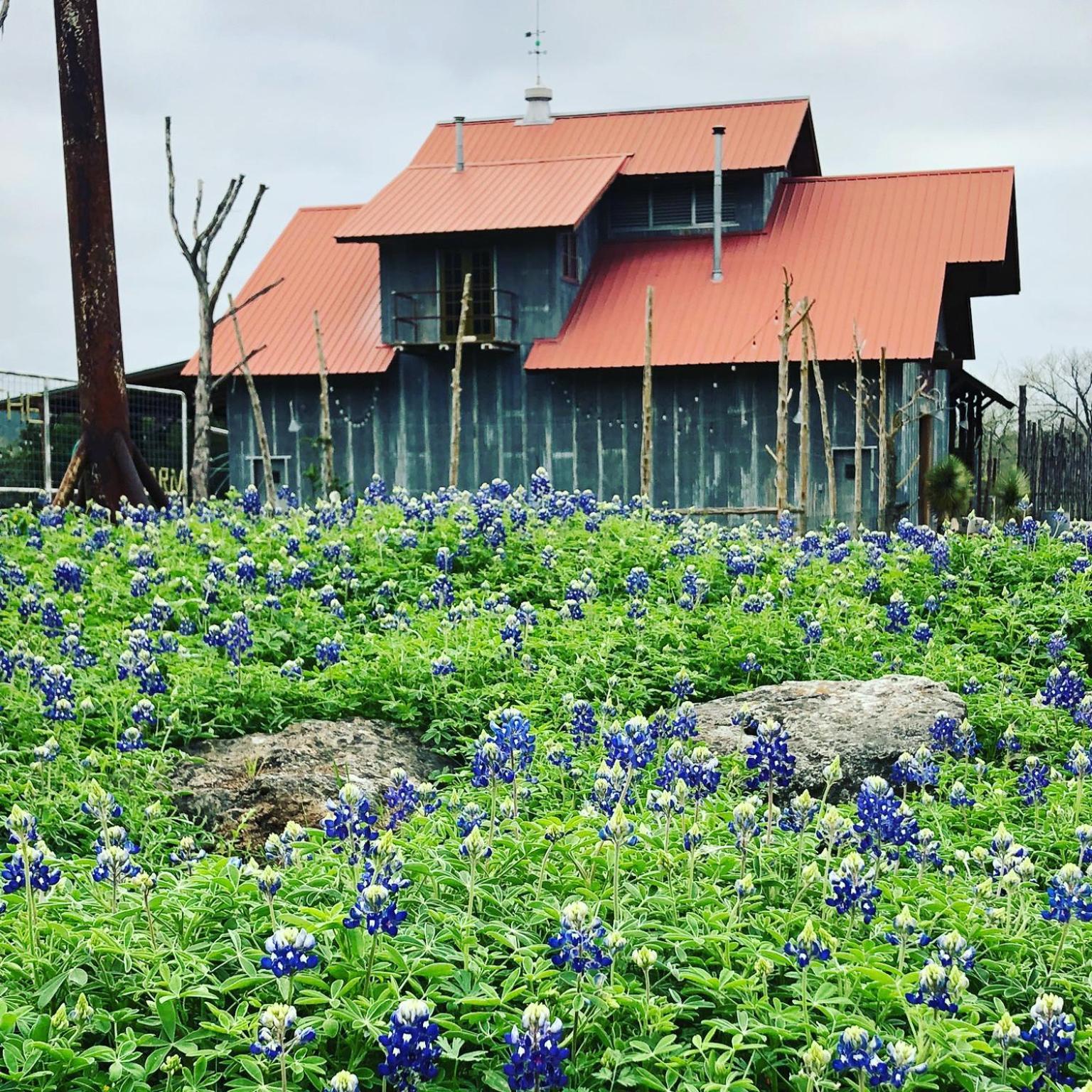 ウィンバリー Montesino Ranch Lodgingヴィラ エクステリア 写真